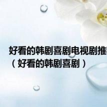 好看的韩剧喜剧电视剧推荐几部(好看的韩剧喜剧)