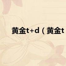 黄金t+d（黄金t）