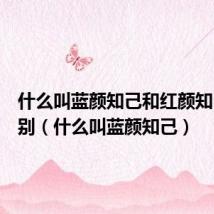 什么叫蓝颜知己和红颜知己的区别(什么叫蓝颜知己)