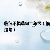 临危不惧造句二年级（临危不惧造句）