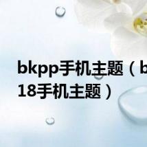 bkpp手机主题(bbki518手机主题)