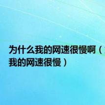 为什么我的网速很慢啊(为什么我的网速很慢)