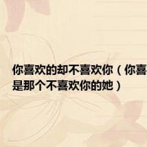 你喜欢的却不喜欢你(你喜欢的只是那个不喜欢你的她)