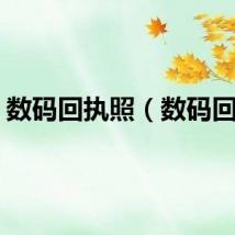 数码回执照（数码回执）