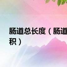 肠道总长度（肠道总面积）