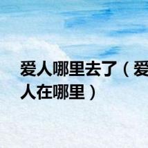 爱人哪里去了（爱人爱人在哪里）