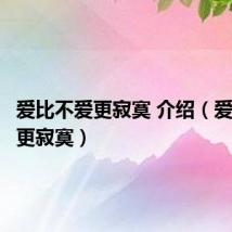 爱比不爱更寂寞 介绍(爱比不爱更寂寞)