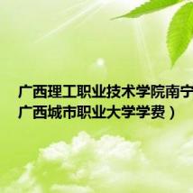 广西理工职业技术学院南宁校区(广西城市职业大学学费)