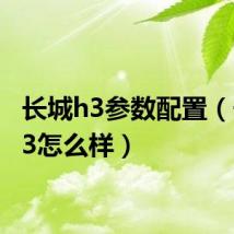 长城h3参数配置(长城h3怎么样)