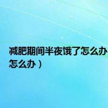 减肥期间半夜饿了怎么办(饿了怎么办)