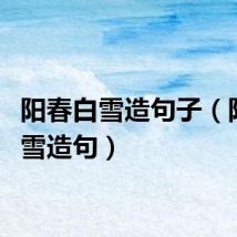 阳春白雪造句子（阳春白雪造句）
