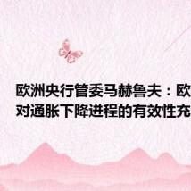 欧洲央行管委马赫鲁夫：欧洲央行对通胀下降进程的有效性充满信心