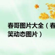 春哥图片大全（春哥搞笑动态图片）