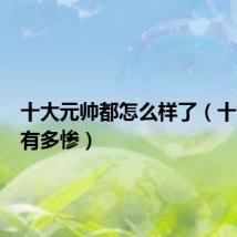 十大元帅都怎么样了(十大元帅有多惨)