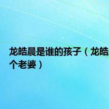 龙皓晨是谁的孩子(龙皓晨有几个老婆)