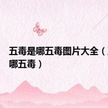 五毒是哪五毒图片大全(五毒是哪五毒)