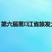 第六届黑⻰江省旅发大会