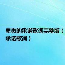 卑微的承诺歌词完整版(卑微的承诺歌词)
