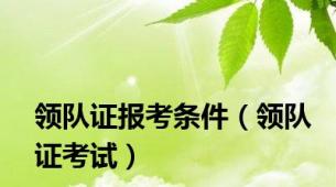 领队证报考条件（领队证考试）