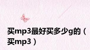 买mp3最好买多少g的（买mp3）