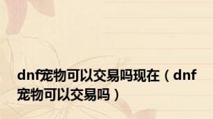 dnf宠物可以交易吗现在（dnf宠物可以交易吗）