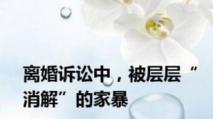 离婚诉讼中，被层层“消解”的家暴