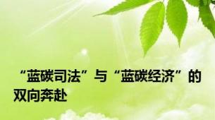 “蓝碳司法”与“蓝碳经济”的双向奔赴