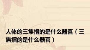 人体的三焦指的是什么器官（三焦指的是什么器官）