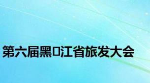 第六届黑⻰江省旅发大会