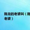 陈龙的老婆叫（陈龙的老婆）