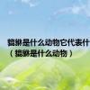 貔貅是什么动物它代表什么意思（貔貅是什么动物）