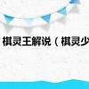 棋灵王解说（棋灵少女）