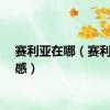 赛利亚在哪（赛利亚好感）