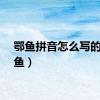 鄂鱼拼音怎么写的（鄂鱼）