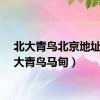 北大青鸟北京地址（北大青鸟马甸）