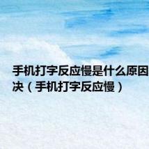 手机打字反应慢是什么原因怎么解决(手机打字反应慢)