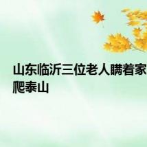 山东临沂三位老人瞒着家人组团爬泰山