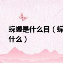 蝾螈是什么目（蝾螈是什么）