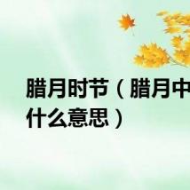腊月时节（腊月中旬是什么意思）