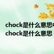 chock是什么意思中文(chock是什么意思)
