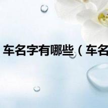 车名字有哪些（车名字）