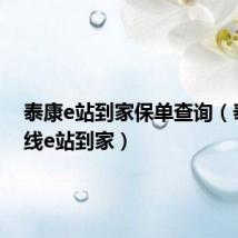 泰康e站到家保单查询(泰康在线e站到家)