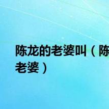 陈龙的老婆叫（陈龙的老婆）