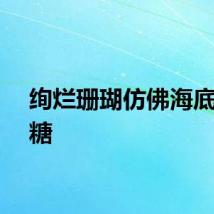 绚烂珊瑚仿佛海底棉花糖