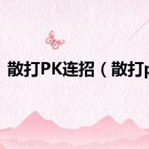 散打PK连招（散打pk）