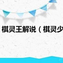 棋灵王解说(棋灵少女)