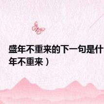 盛年不重来的下一句是什么(盛年不重来)