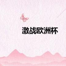 激战欧洲杯