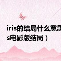 iris的结局什么意思(iris电影版结局)