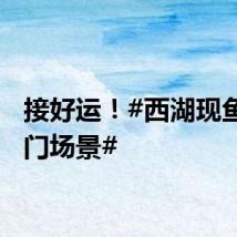 接好运！#西湖现鱼跃龙门场景#